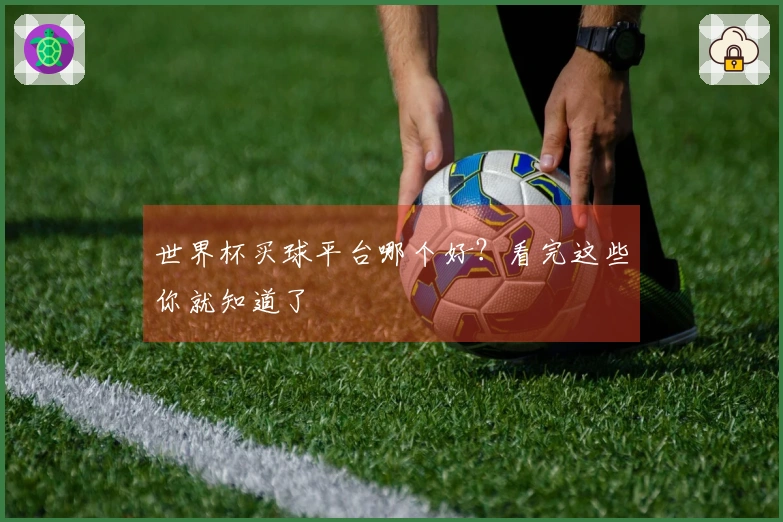 世界杯买球平台哪个好？看完这些你就知道了