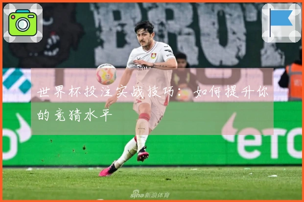 世界杯投注实战技巧：如何提升你的竞猜水平