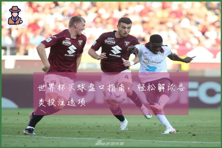 世界杯买球盘口指南，轻松解读各类投注选项