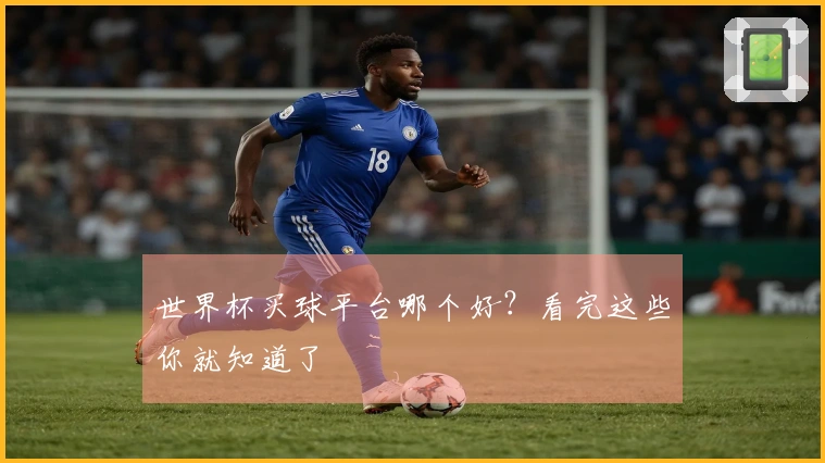 世界杯买球平台哪个好？看完这些你就知道了