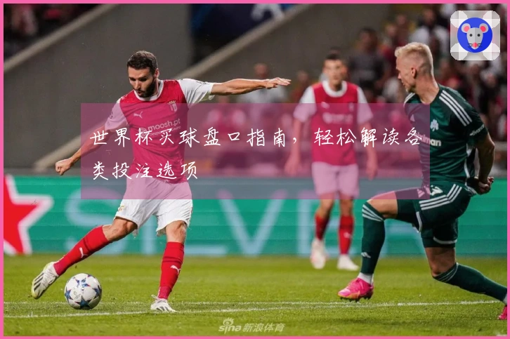世界杯买球盘口指南，轻松解读各类投注选项