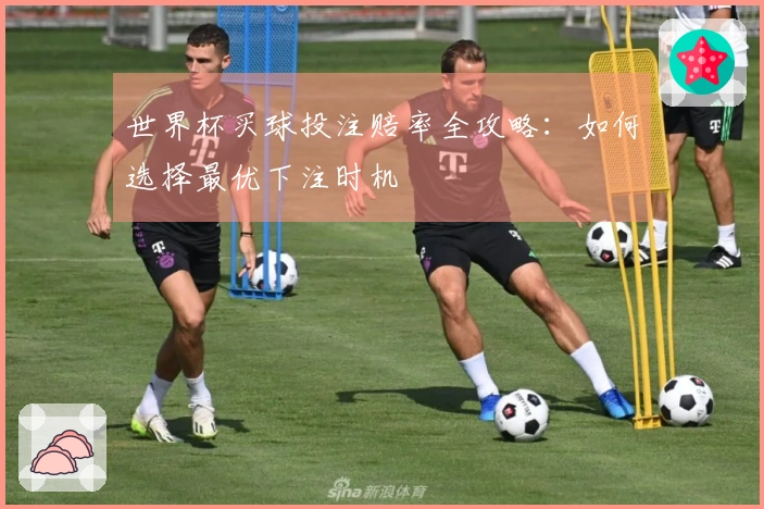 世界杯买球投注赔率全攻略：如何选择最优下注时机